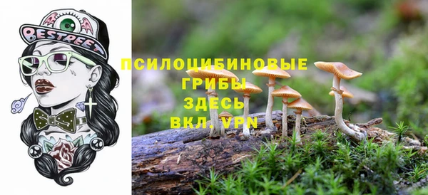 стафф Беломорск
